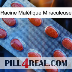 Racine Maléfique Miraculeuse 06